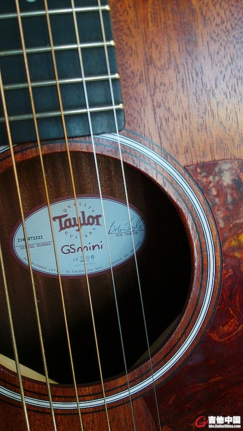 taylor3.jpg