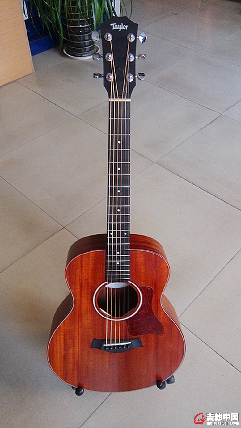 taylor5.jpg