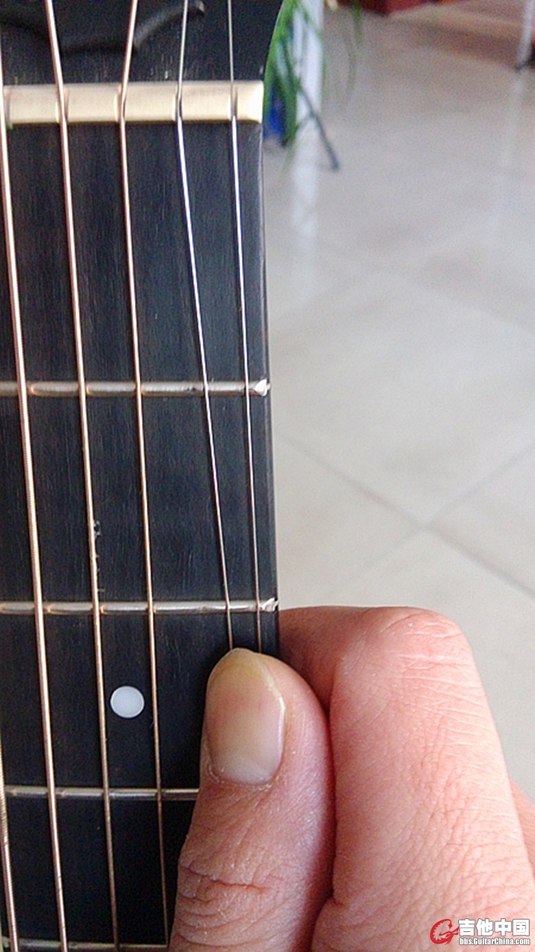 taylor7.jpg