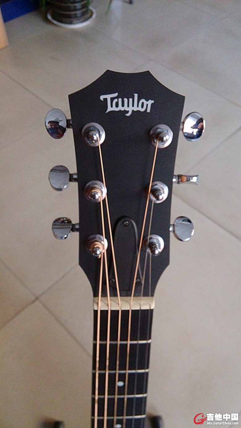 taylor9.jpg