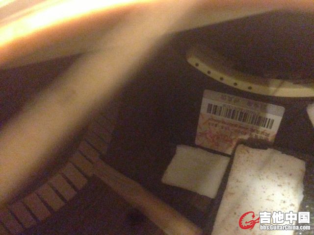 lr顶级拾音器