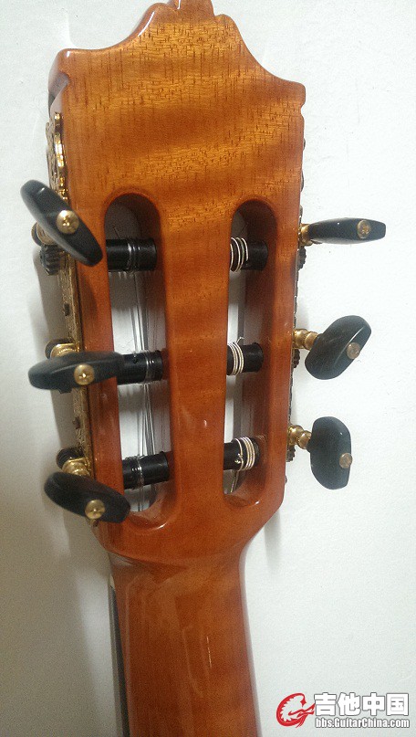 IMAG1318.jpg
