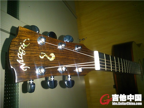 琴头鲍鱼贝镶嵌