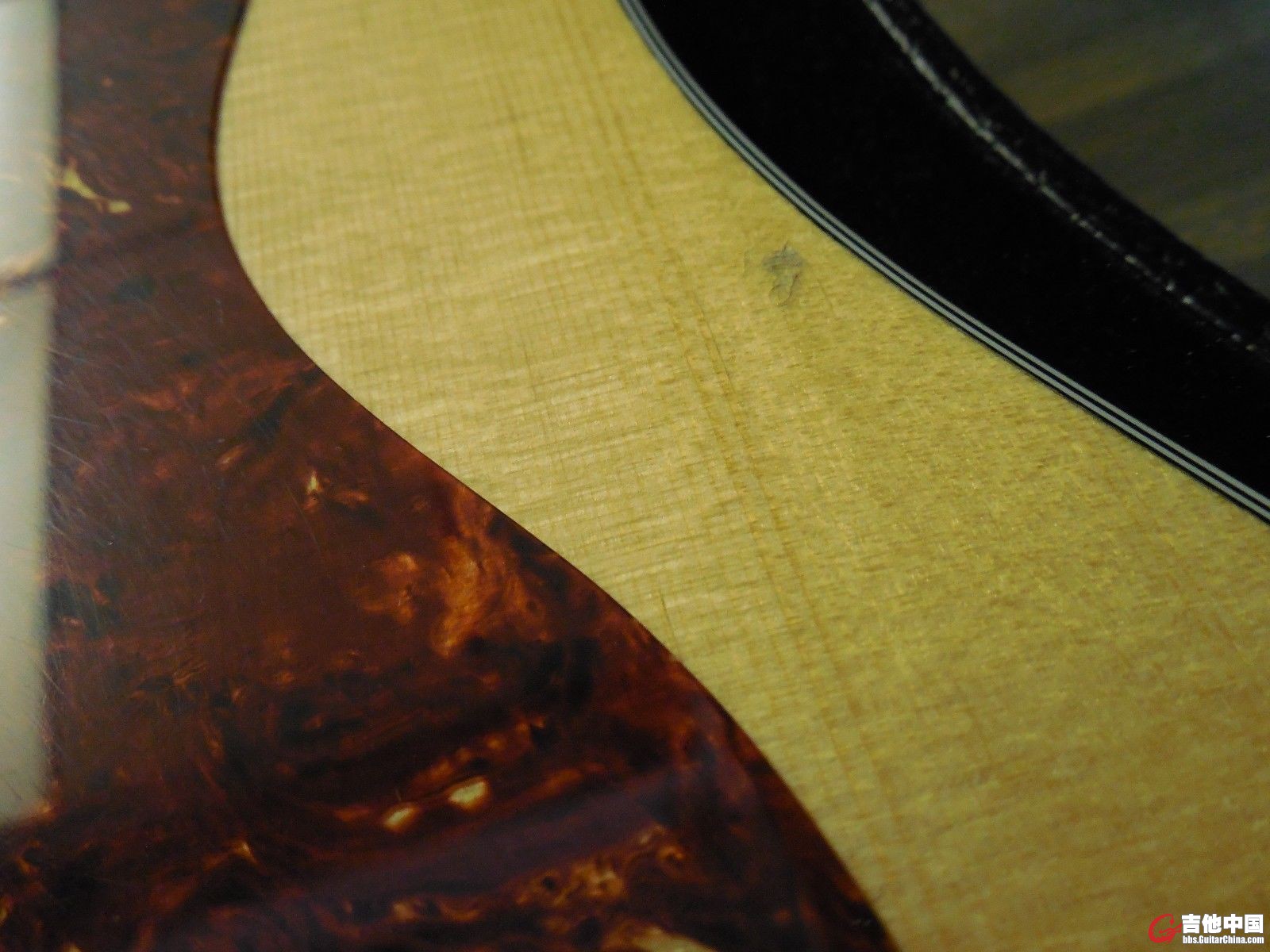 taylor 210ce-6.jpg