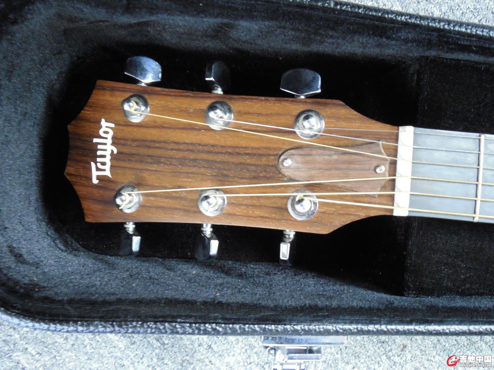 taylor 210ce-5.jpg