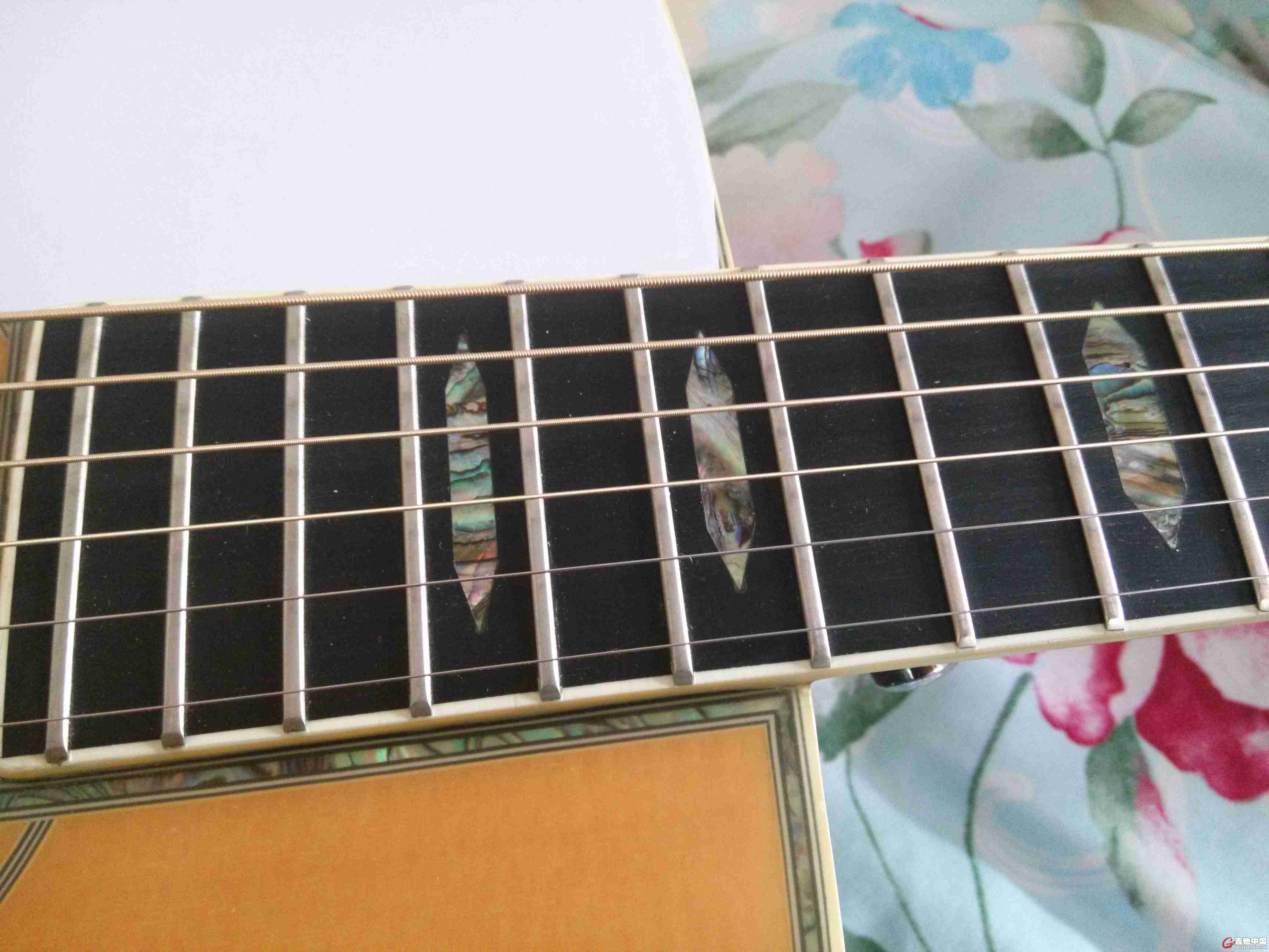 IMG20141213125616.jpg