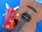 IMG_0046_缩小大小.JPG