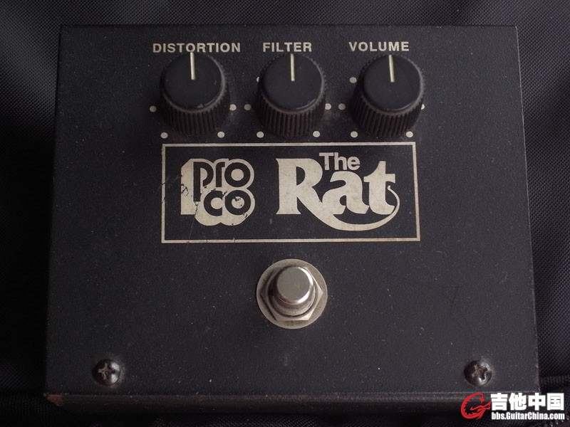 rat1.jpg
