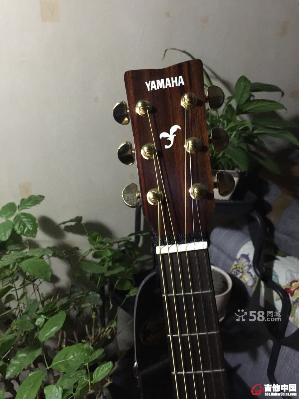 n_t087363ef7bf7e800579a0.jpg
