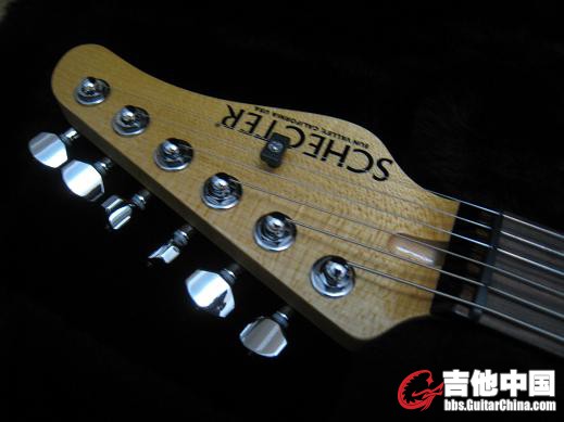 SCHECTER! CS 006.jpg