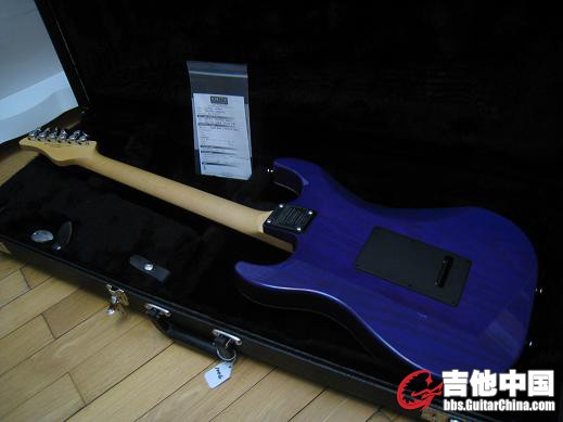 SCHECTER! CS 007.jpg