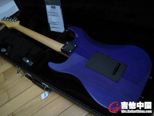 SCHECTER! CS 008.jpg