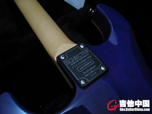 SCHECTER! CS 009.jpg