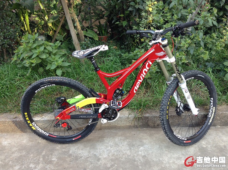 devinci.jpg