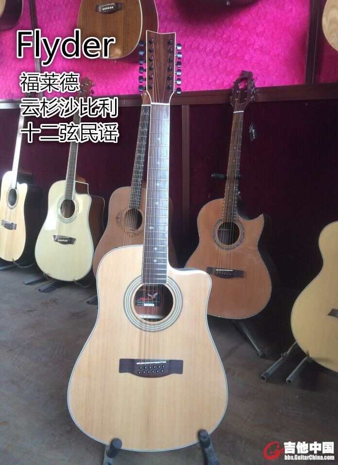 十二弦吉他1_副本.jpg