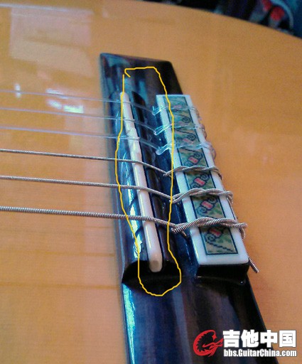 g6.jpg