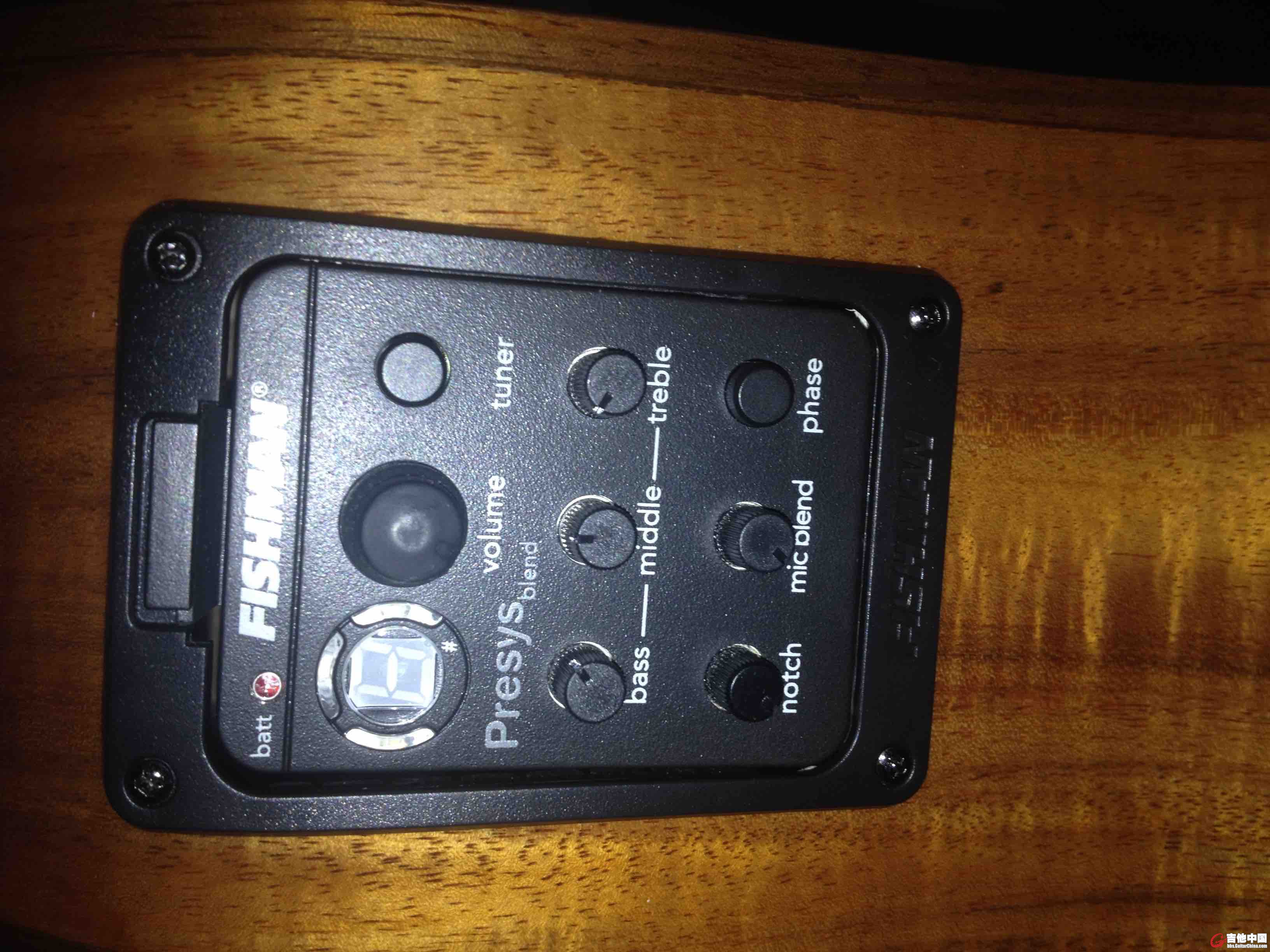 fishman 301 