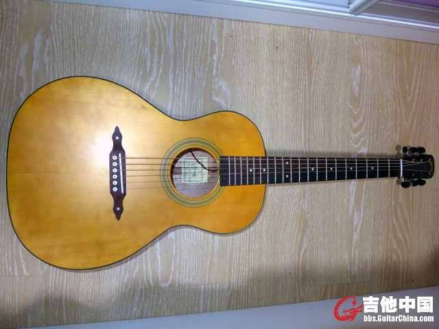gt100.jpg