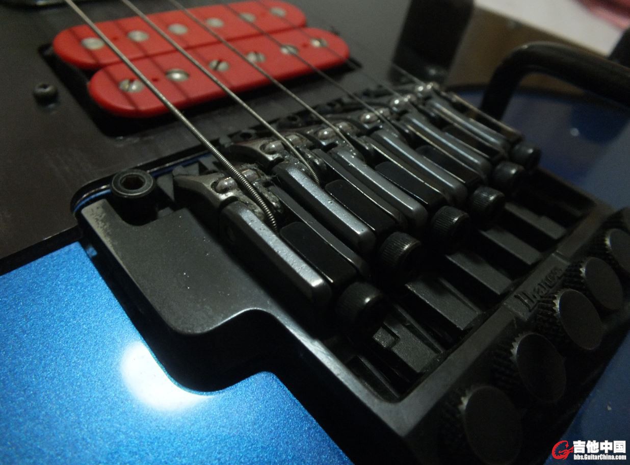 200043petxpqm18fn1ylql.jpg