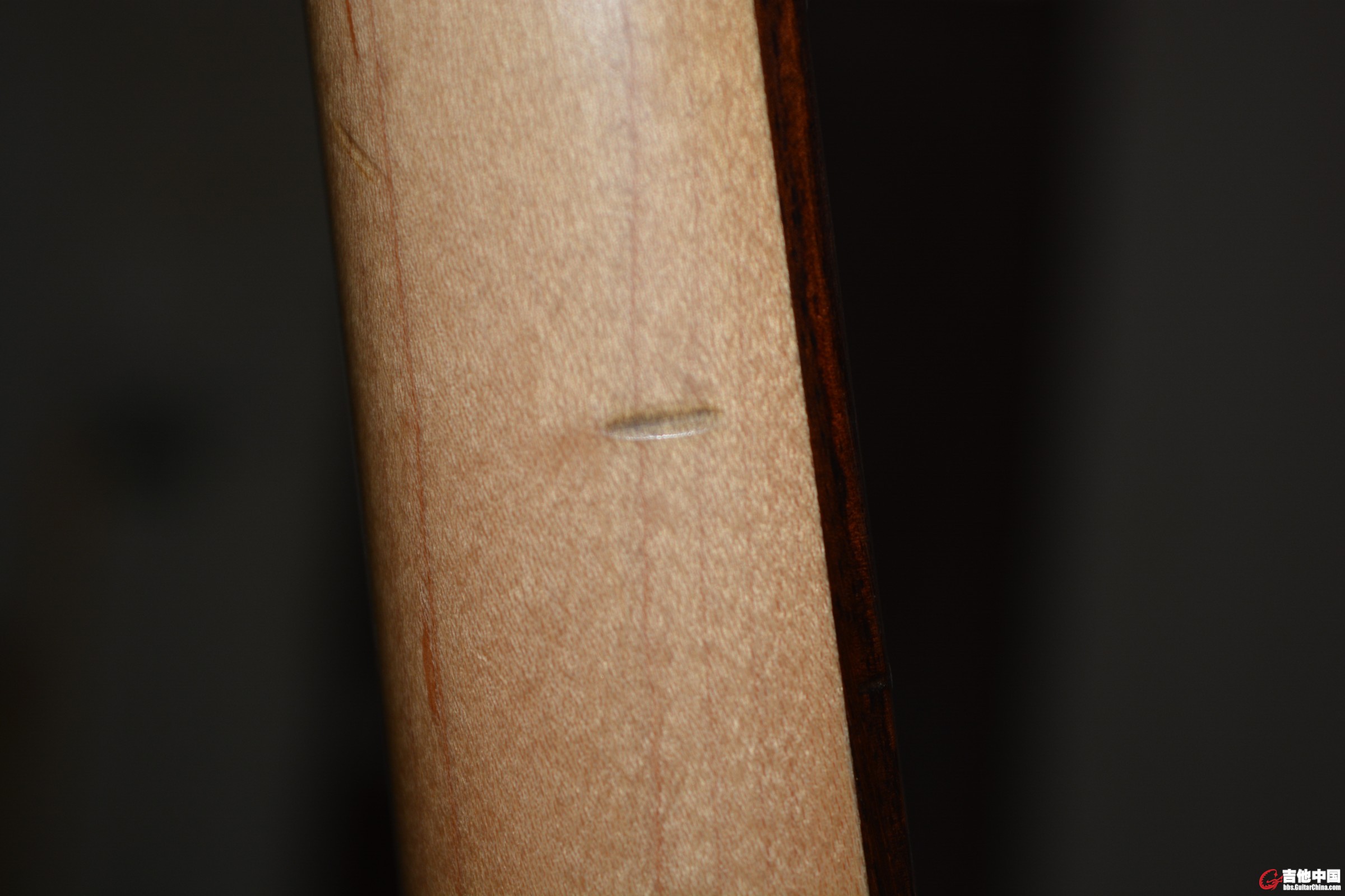 DSC_1616.jpg