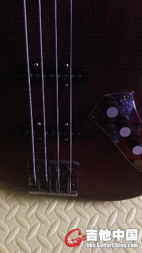 IMAG0124.jpg
