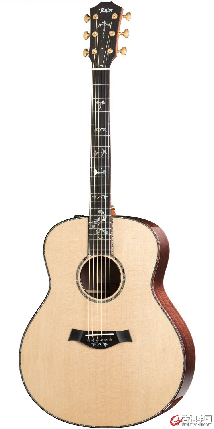 taylor 918e
