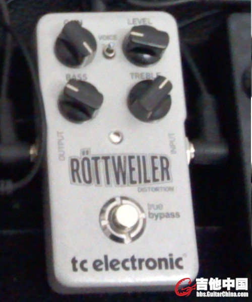 tc rottweiler.jpg