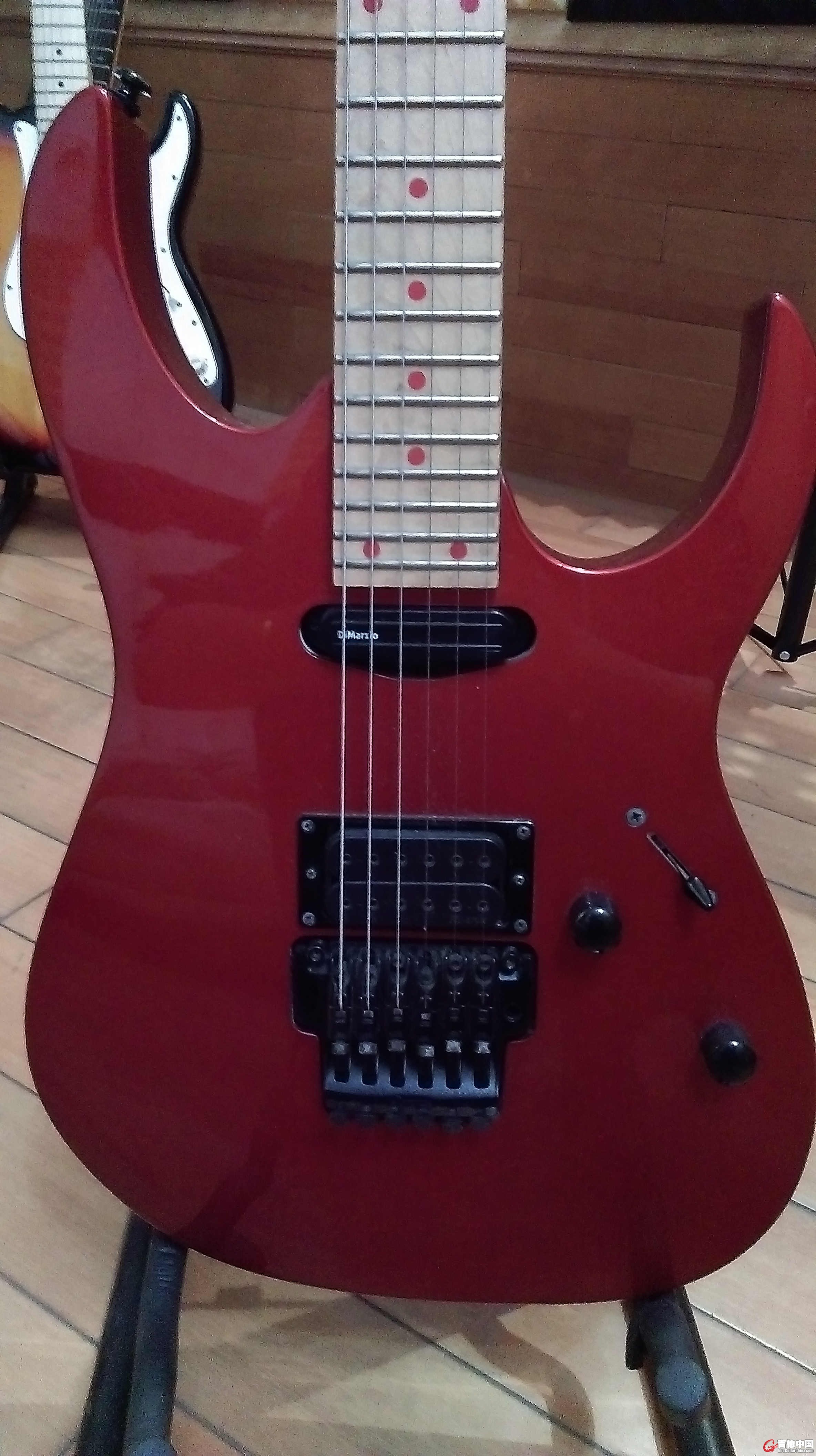 IMAG0171.jpg