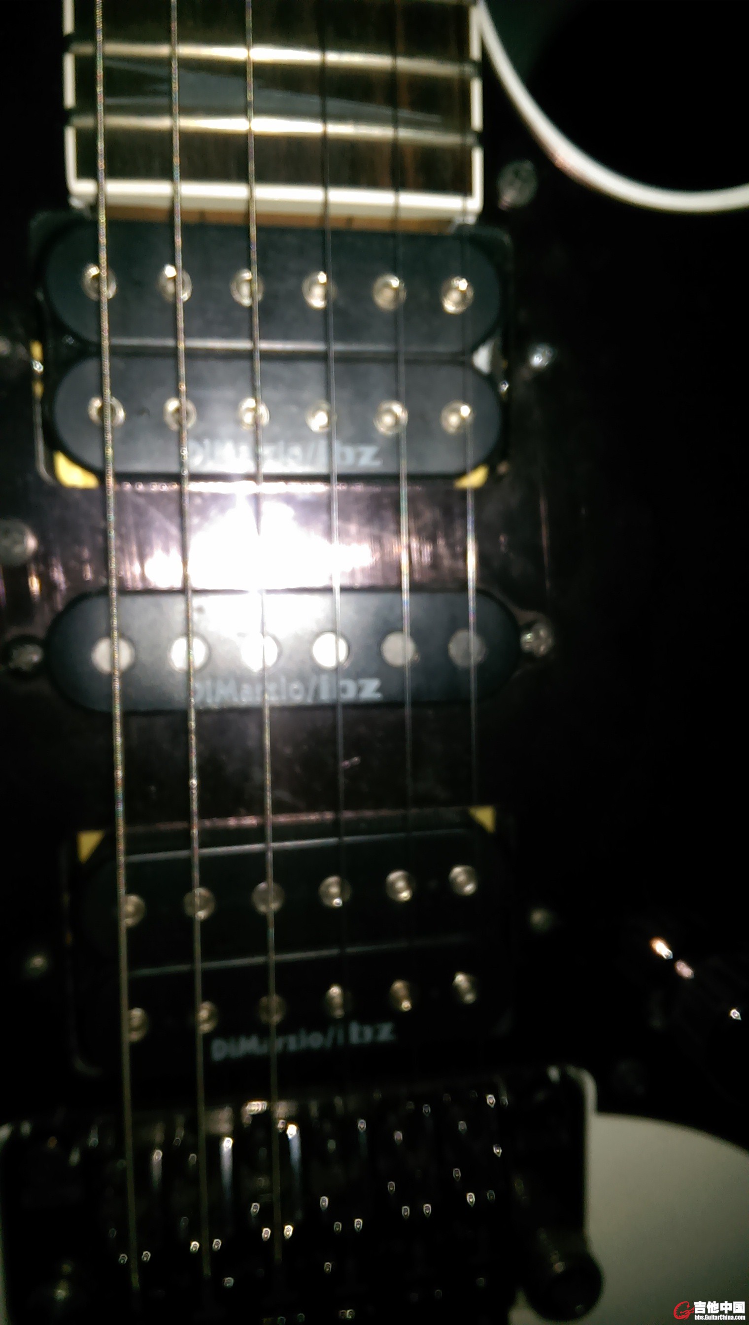 IMAG0433.jpg