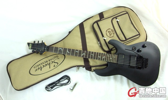 Schecter demen6