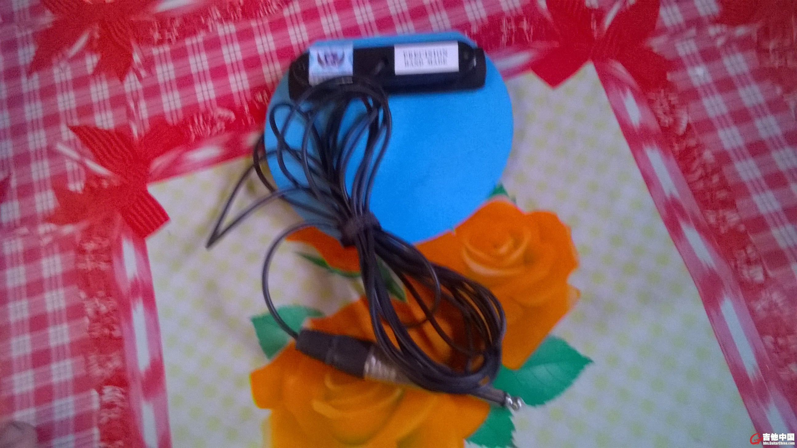 WP_20150322_009.jpg