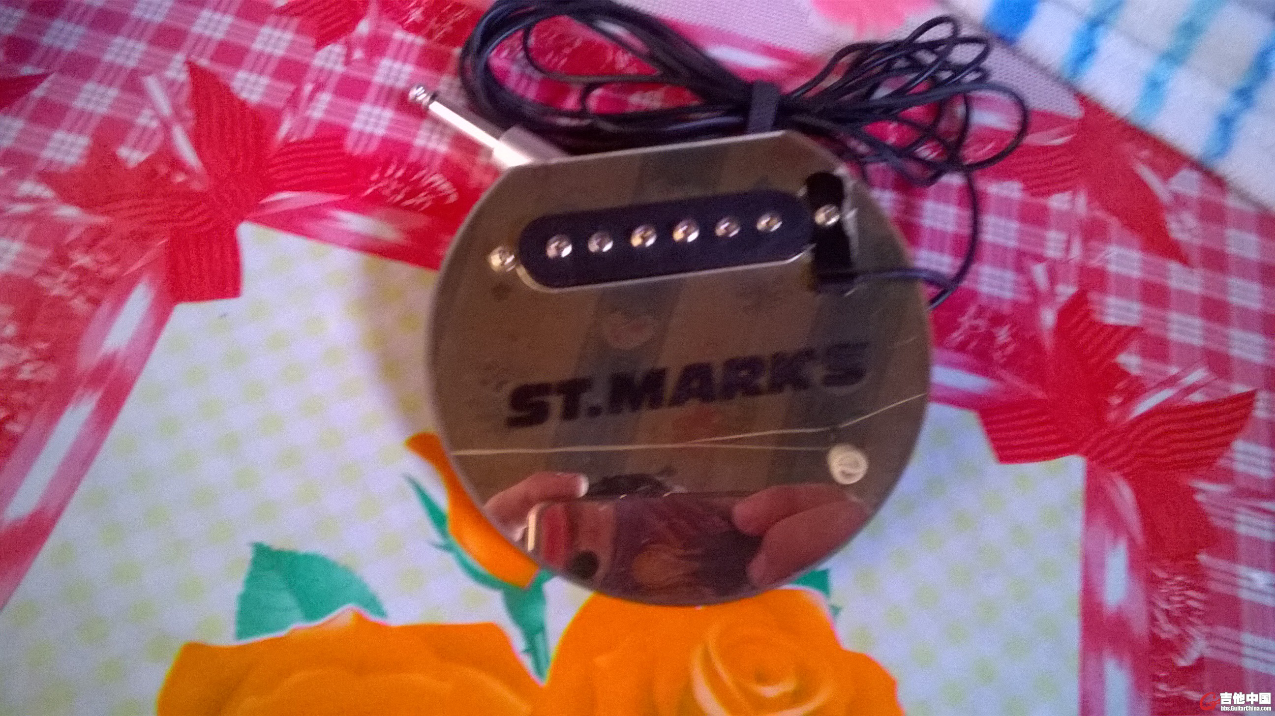 WP_20150322_010.jpg