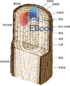 26fb2a92-2035-49ff-9fc3-9643676fa628.jpg