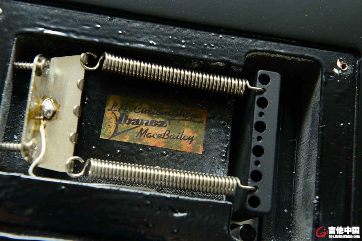 nEO_IMG_CRS_3555.jpg