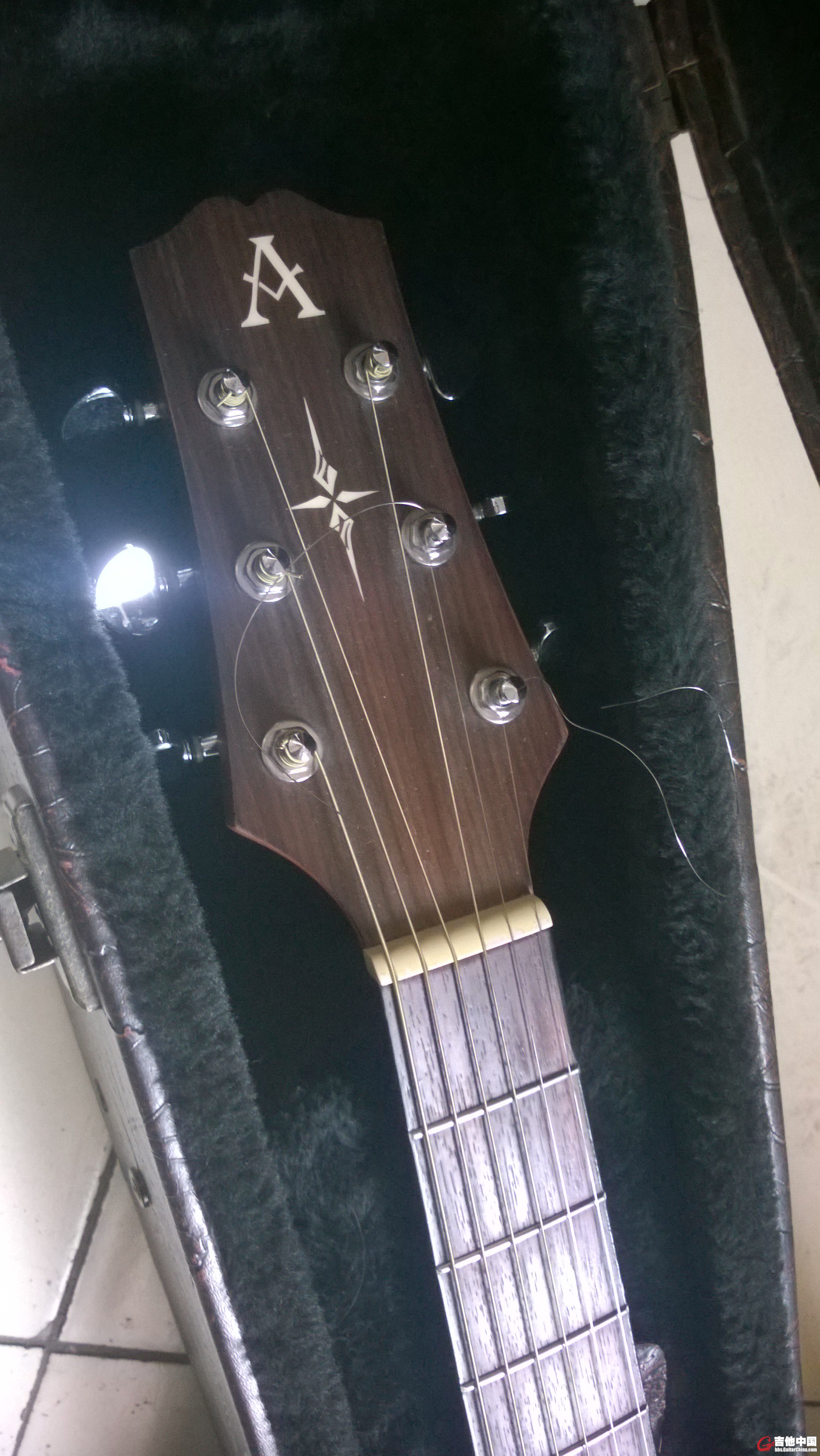 WP_20150319_007.jpg