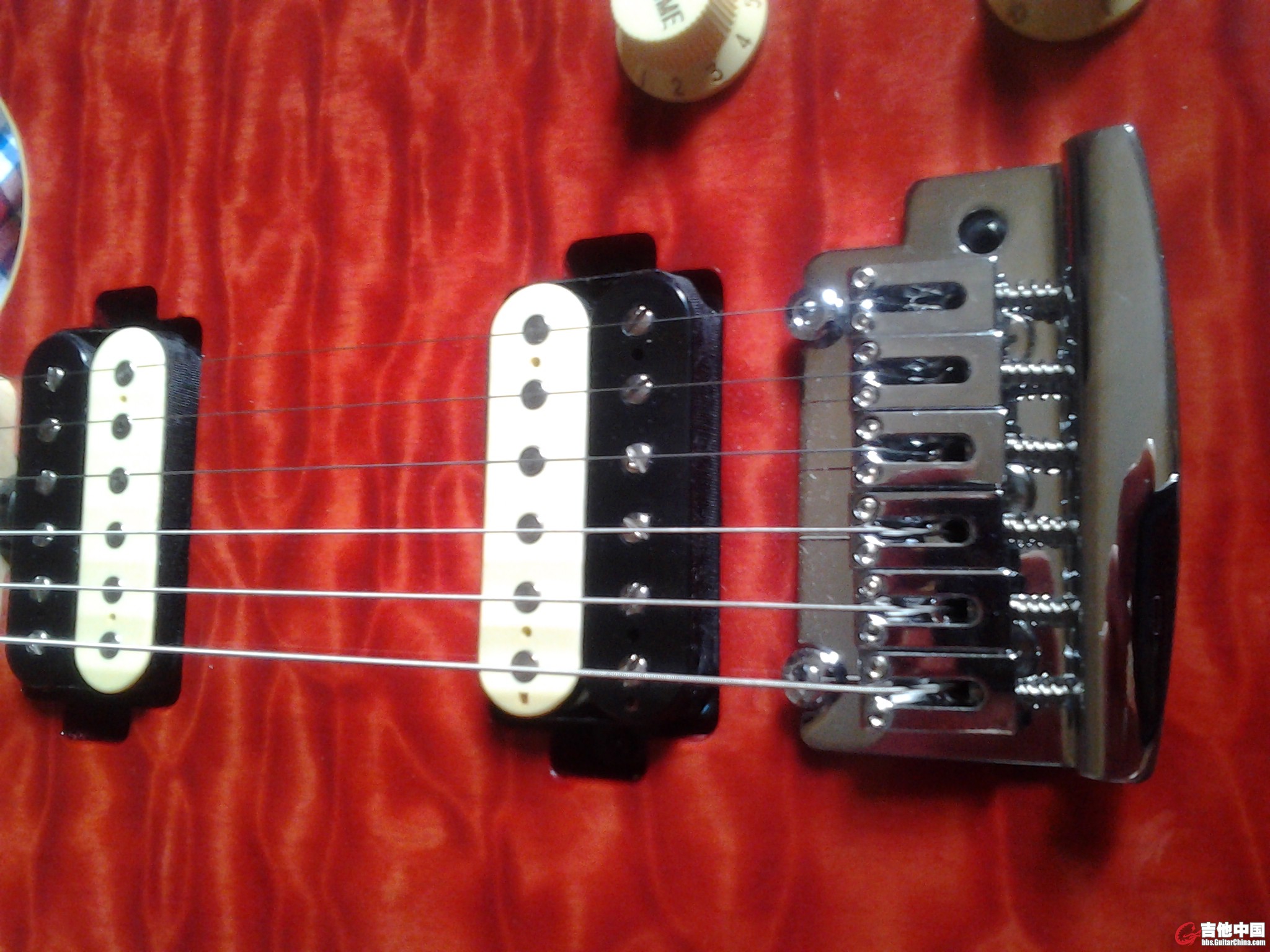 20131107_075426.jpg