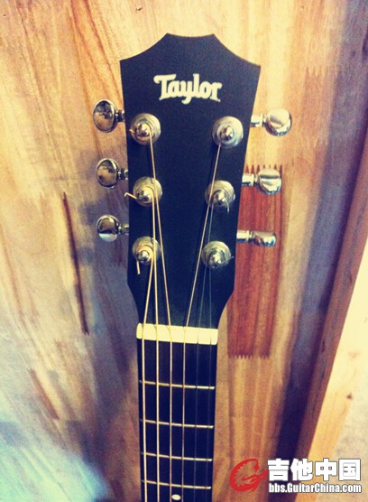 Taylar baby2 (4).jpg