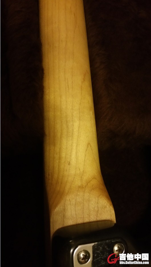 Carvin 6.jpg