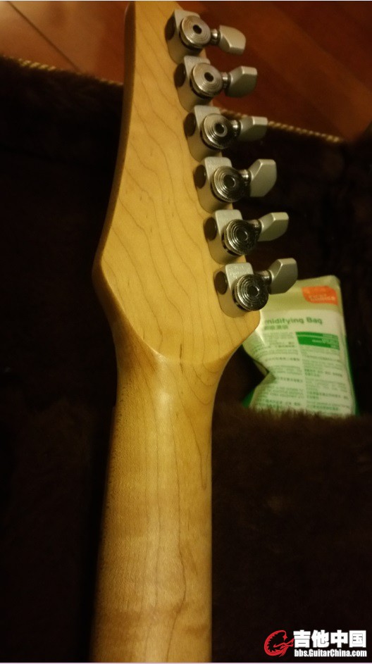 Carvin 5.jpg