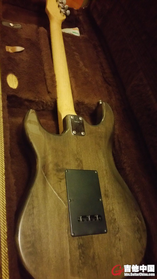 Carvin 4.jpg