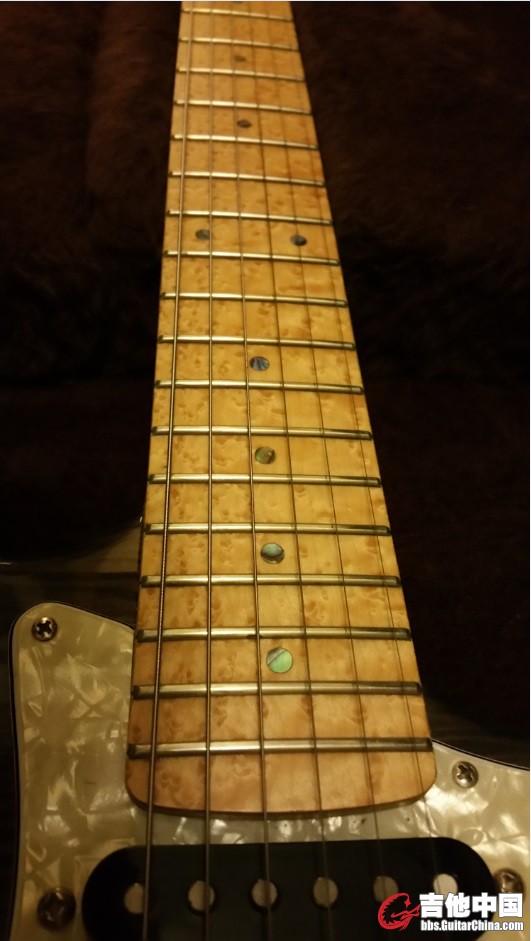 Carvin 3.jpg