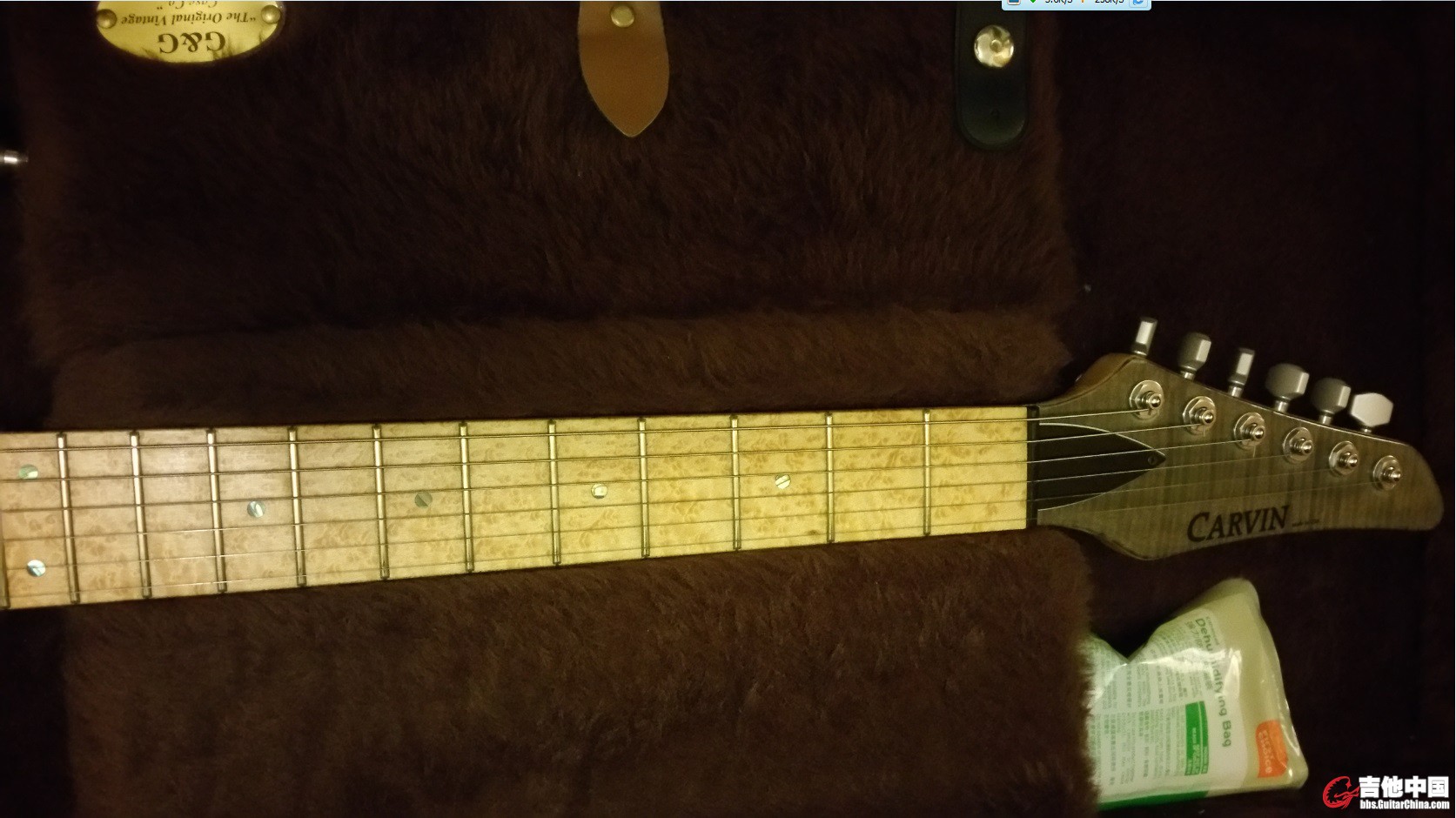 Carvin 1.jpg