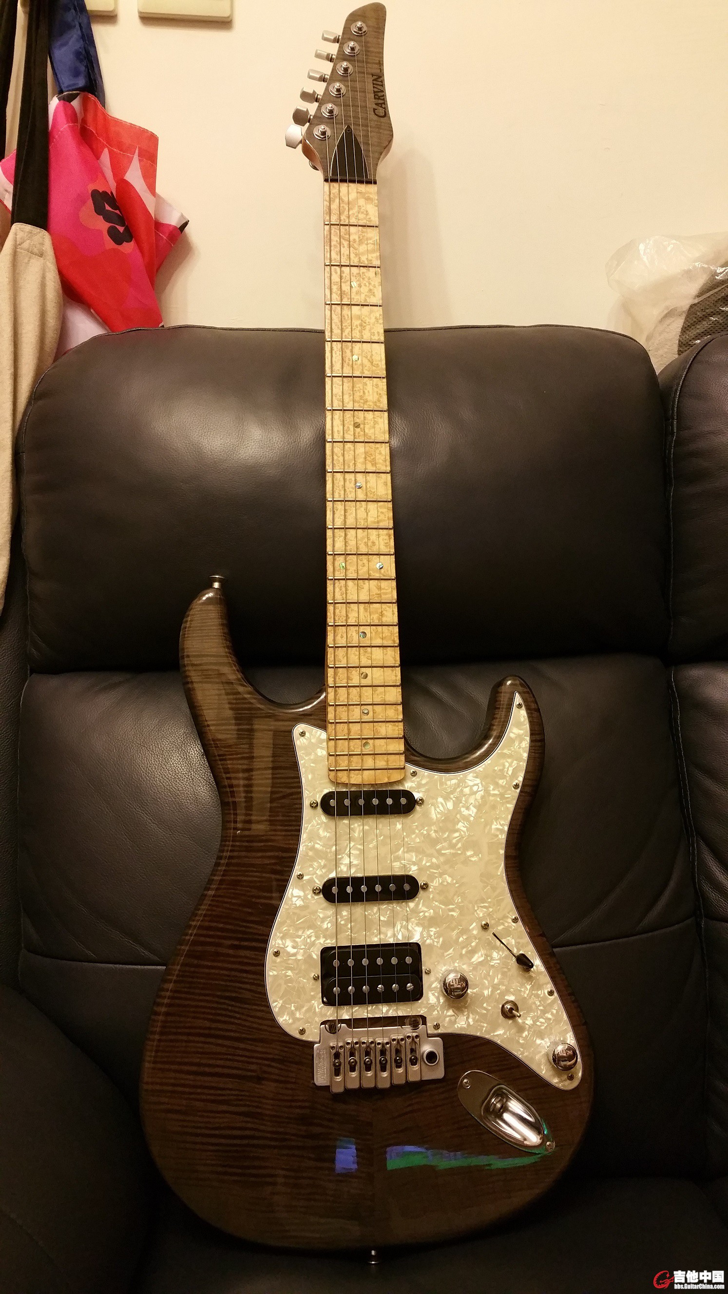Carvin 7.jpg