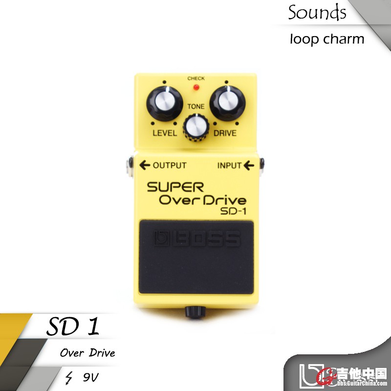SD1.jpg