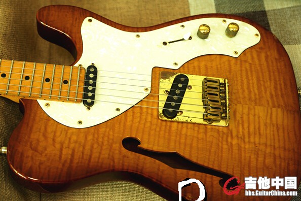 schecter2.jpg