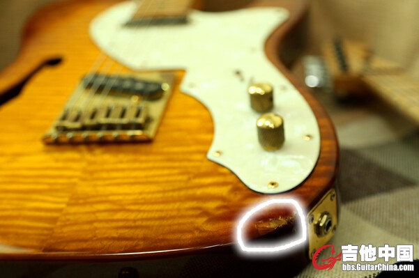 schecter3.jpg