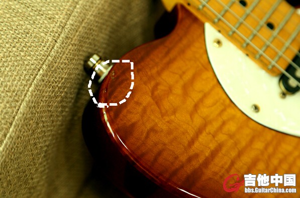 schecter4.jpg