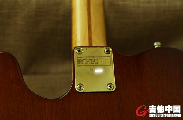 schecter5.jpg