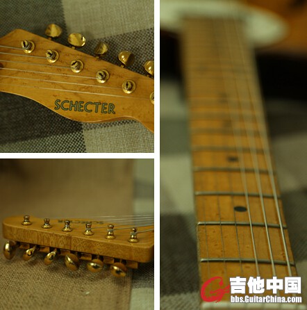 schecter6.jpg
