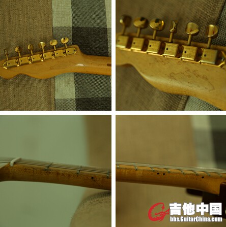 schecter7.jpg